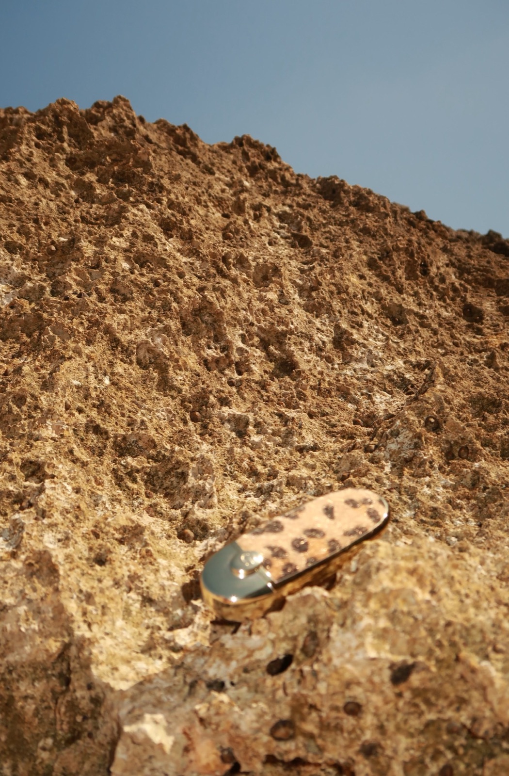 Leopard-print compact styled on desert rocks